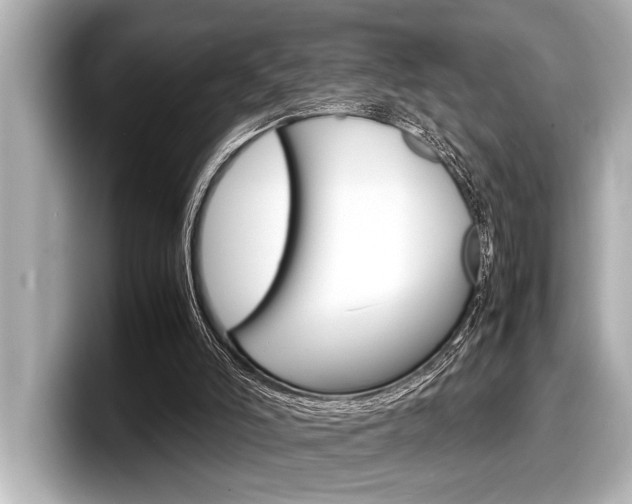 X0000098220006200804241143