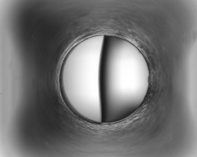 X0000098220007200804241143