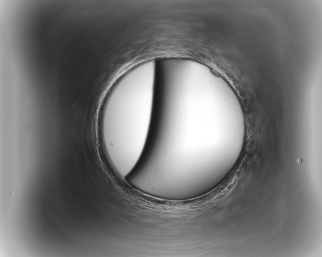 X0000098220008200804241143