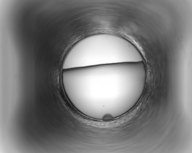 X0000098220010200804241143