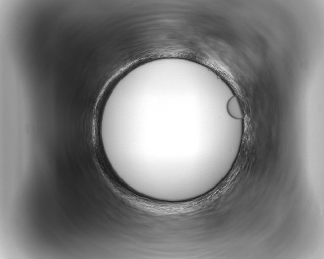 X0000098220012200804241142