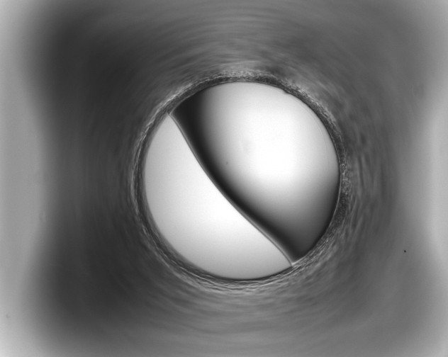 X0000098220015200804241142