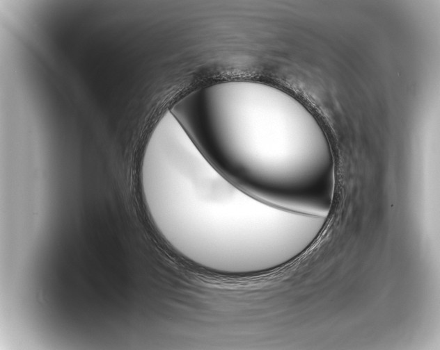 X0000098220017200804241142
