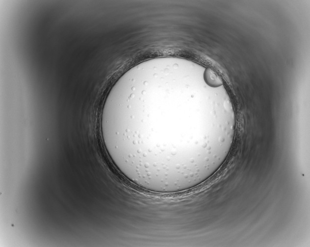 X0000098220018200804241142