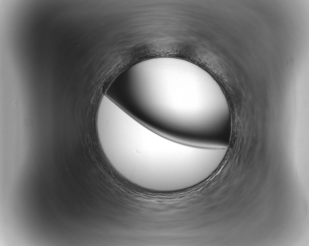 X0000098220021200804241142