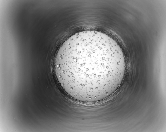 X0000098220026200804241142