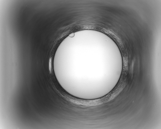 X0000098220028200804241142