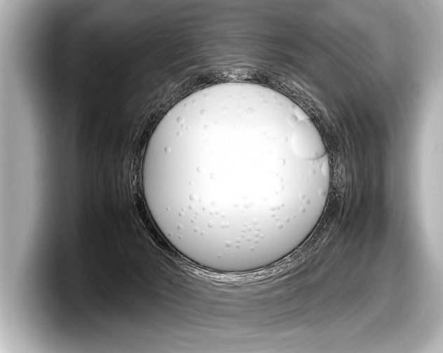 X0000098220030200804241142