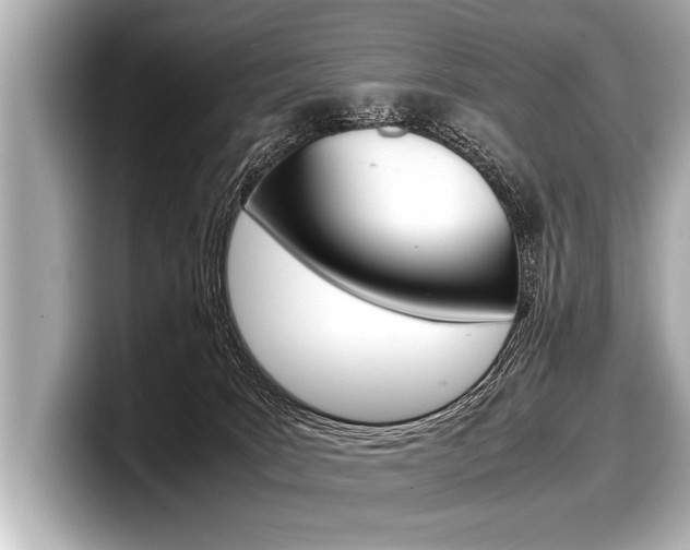 X0000098220035200804241142