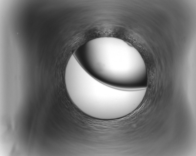 X0000098220037200804241142