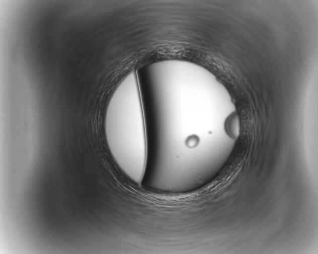 X0000098220040200804241142