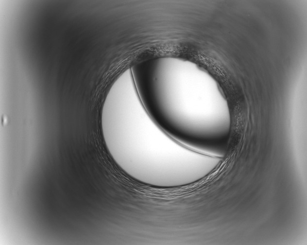 X0000098220041200804241142