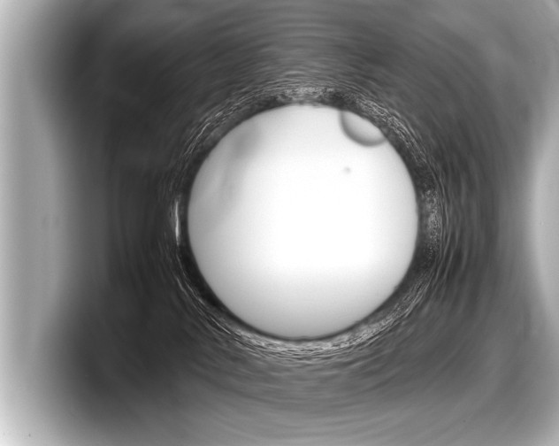 X0000098220042200804241142