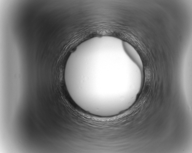 X0000098220043200804241142