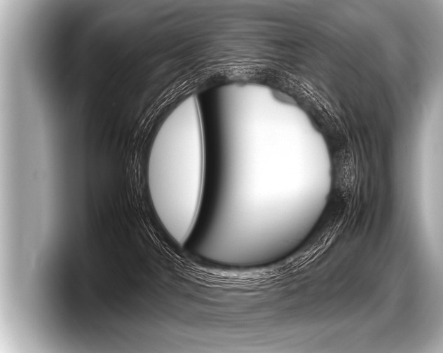 X0000098220044200804241142