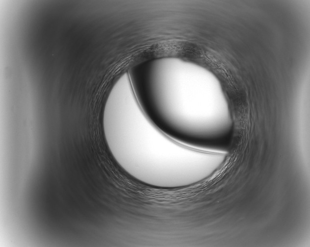 X0000098220045200804241142
