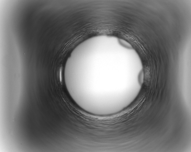 X0000098220046200804241142
