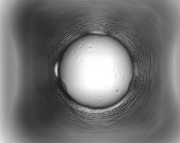X0000098220047200804241142