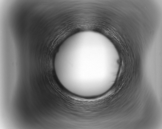 X0000098220048200804241142