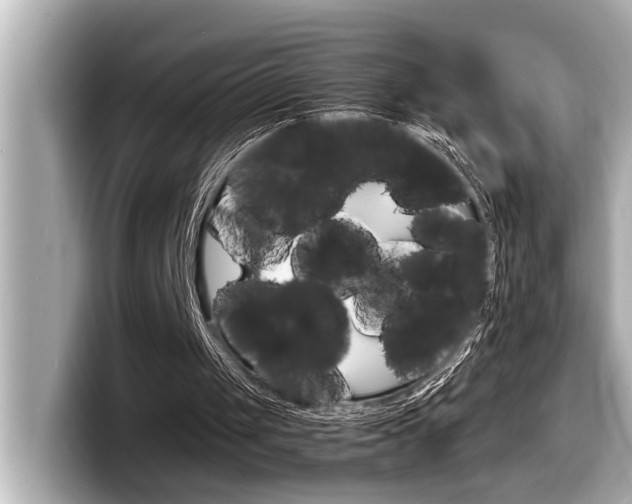 X0000098220049200804241141