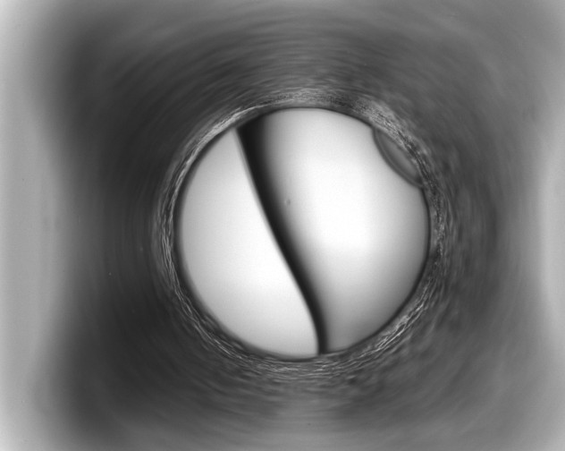 X0000098220050200804241141