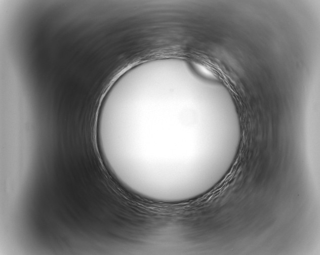 X0000098220052200804241141