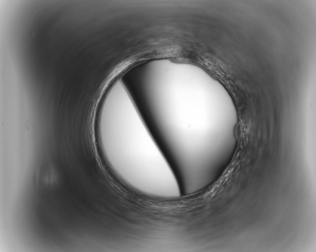 X0000098220054200804241141