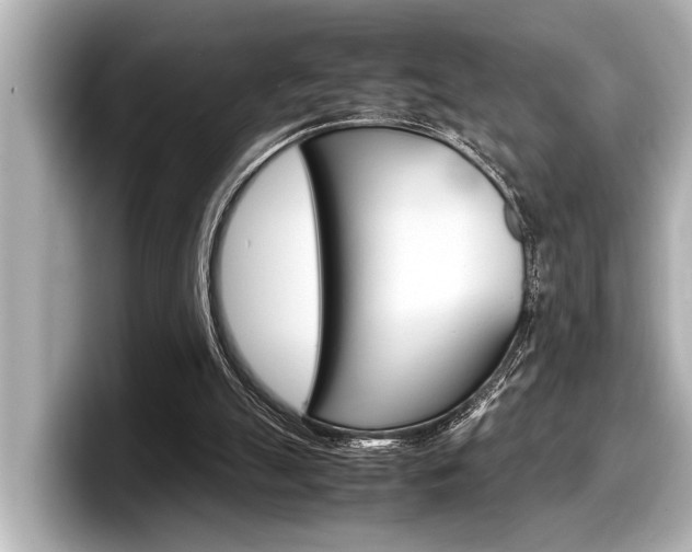 X0000098220055200804241141