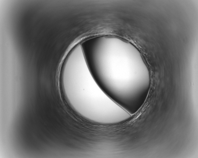 X0000098220056200804241141