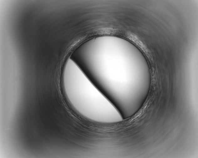 X0000098220058200804241141