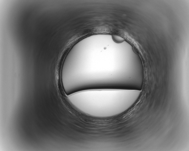 X0000098220059200804241141