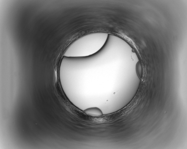X0000098220061200804241142