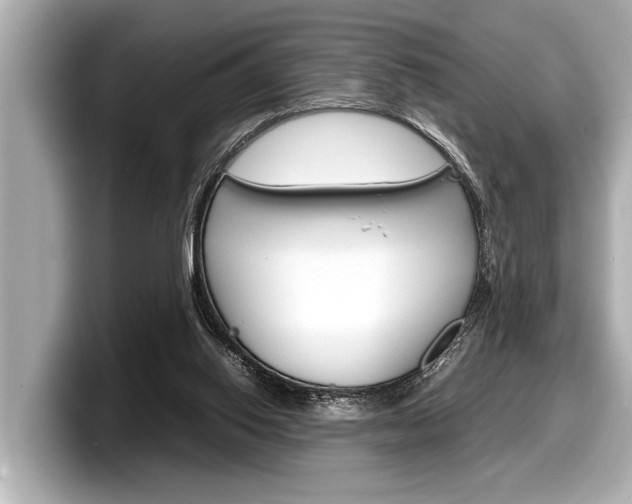 X0000098220062200804241142