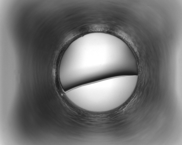 X0000098220063200804241142