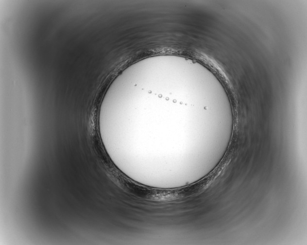 X0000098220065200804241142