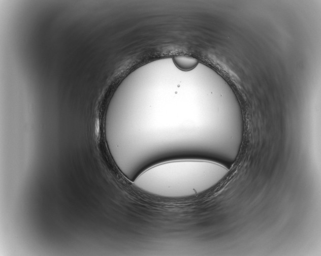 X0000098220067200804241142
