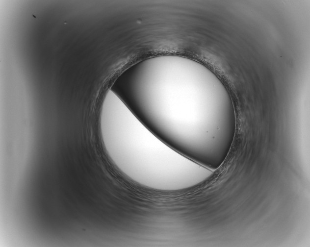 X0000098220068200804241142