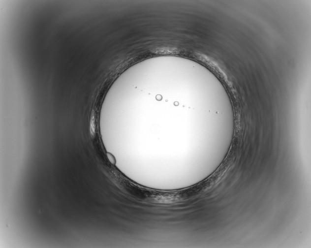 X0000098220069200804241142