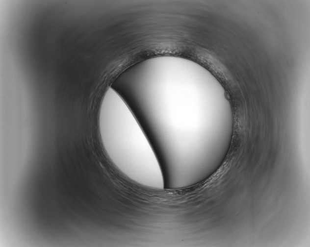 X0000098220070200804241142