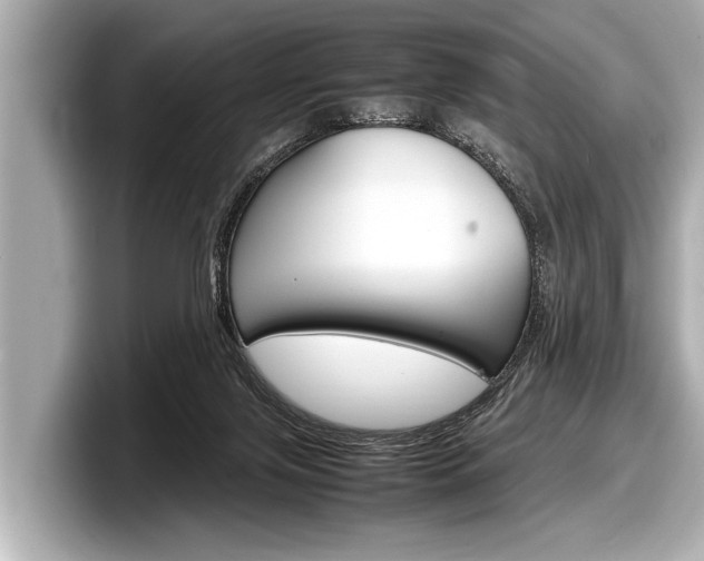 X0000098220071200804241142