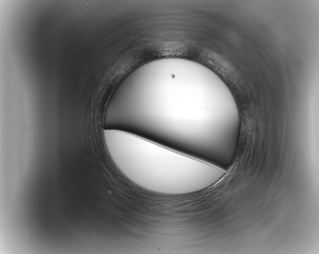 X0000098220074200804241142