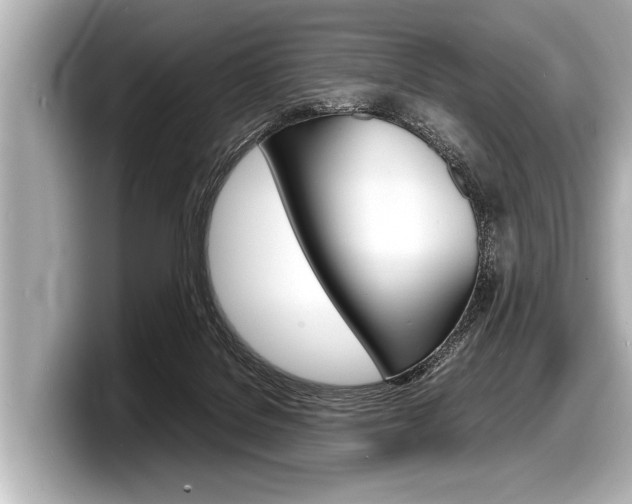 X0000098220076200804241142