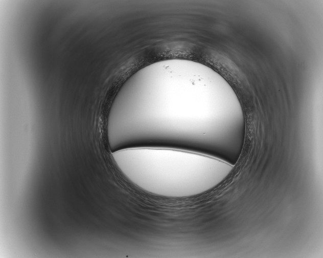 X0000098220077200804241142