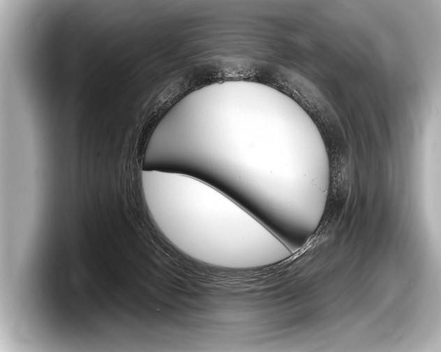 X0000098220078200804241142