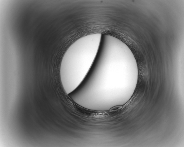 X0000098220082200804241142