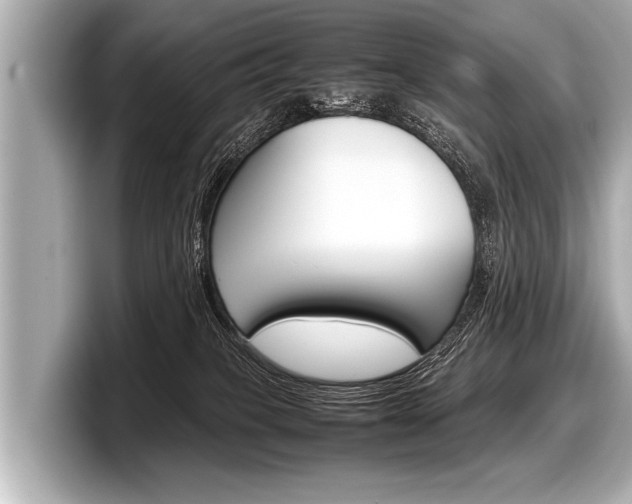 X0000098220085200804241142