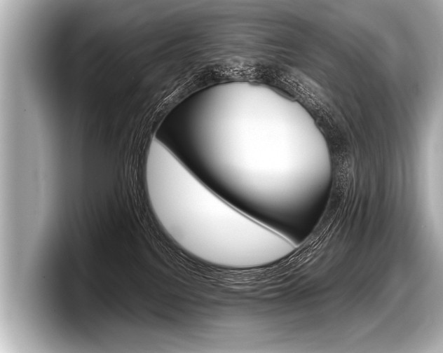 X0000098220088200804241142