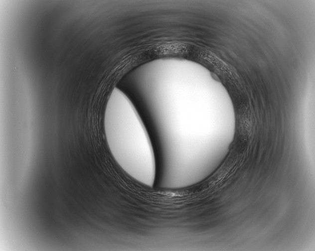 X0000098220091200804241142