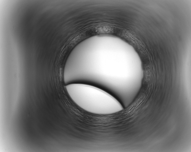 X0000098220093200804241142