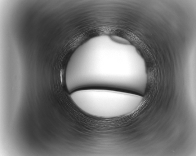 X0000098220094200804241142
